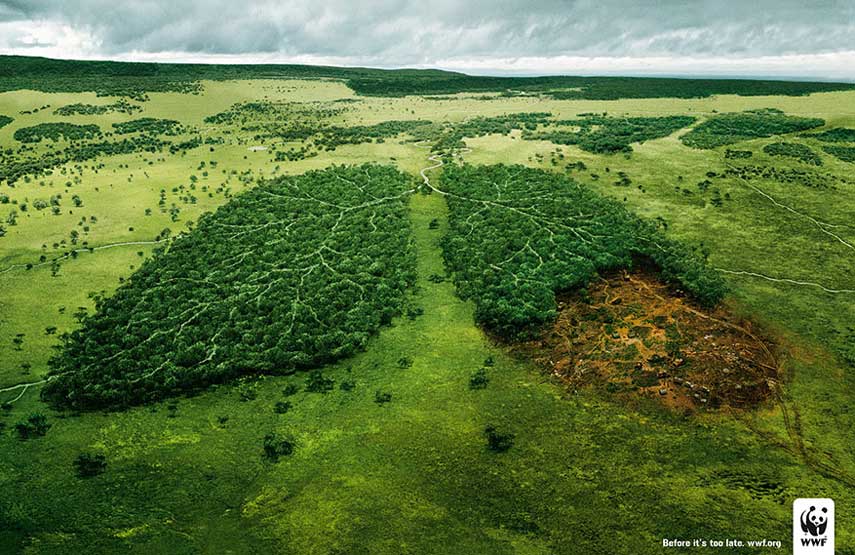 publicidad-medioambiental-selva