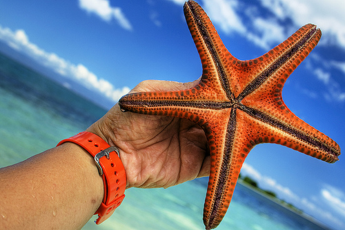 Y de regalo… un calendario imprimible Agosto 2014