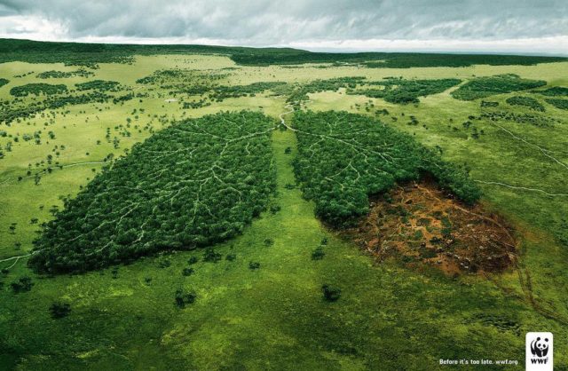 Publicidad_Medioambiental_WWF